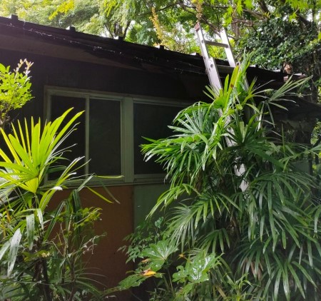 トタン瓦棒屋根　雨漏り調査　落ち葉が溜まっている